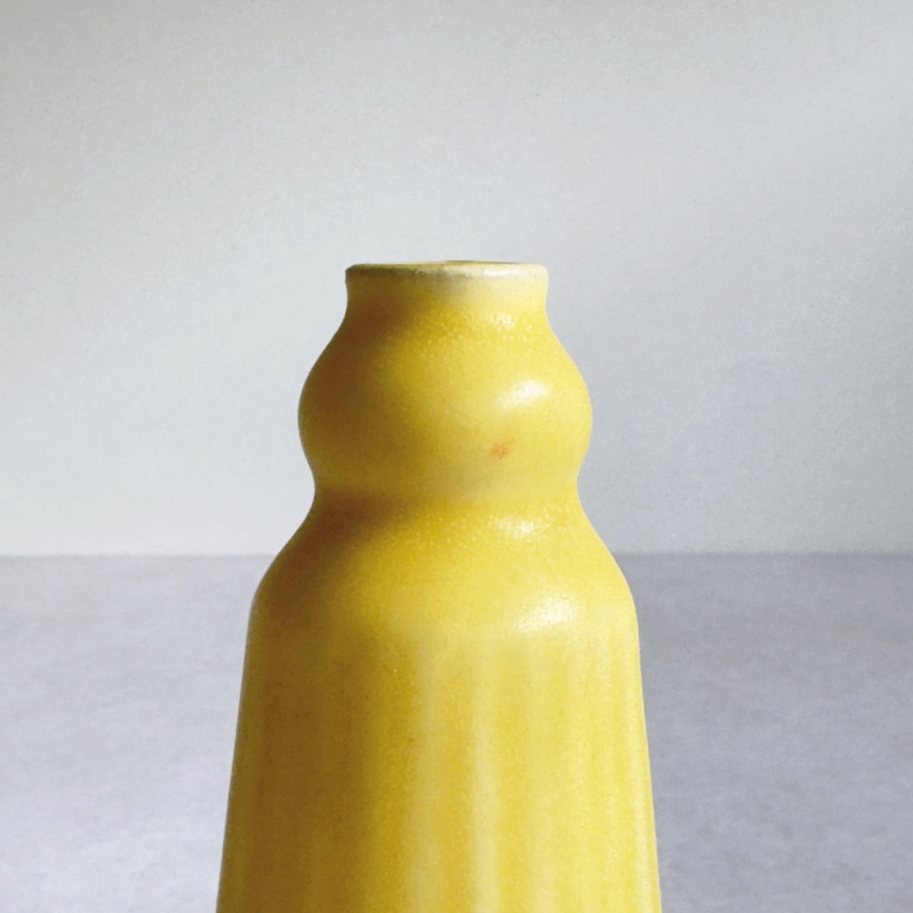 Small Vase & Dried Posy Gift Set - Yuzu no.2