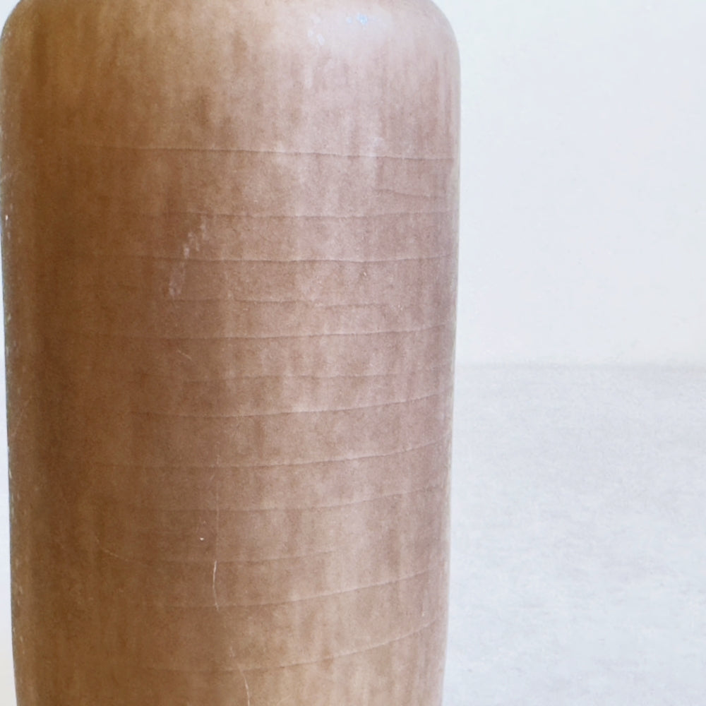 Small Vase & Dried Posy Gift Set - Chestnut no.1