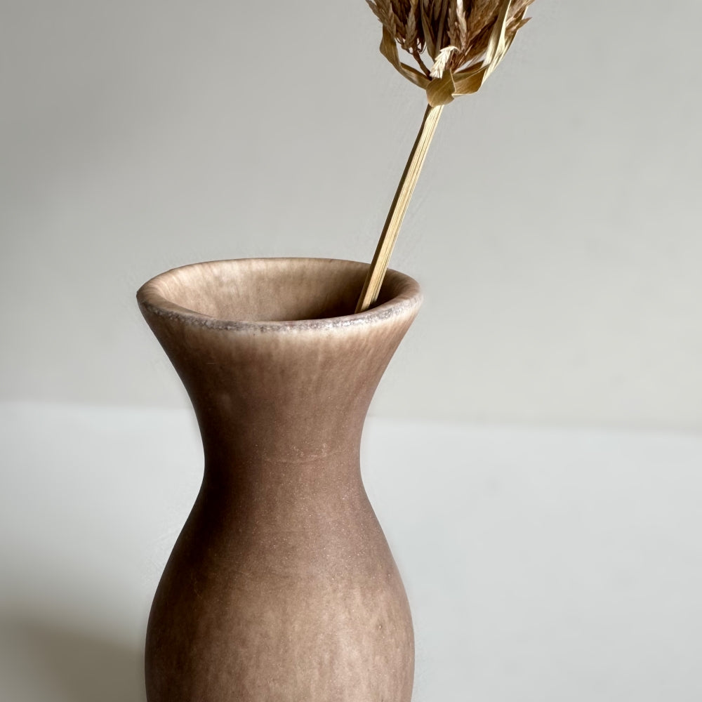 Small Vase & Dried Posy Gift Set - Chestnut no.7