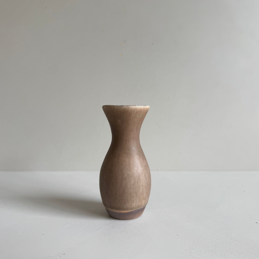 Small Vase & Dried Posy Gift Set - Chestnut no.7