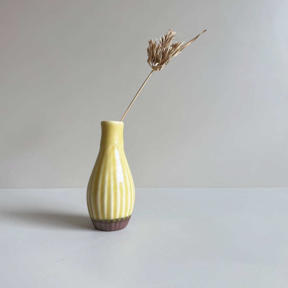 Small Vase & Dried Posy Gift Set - Yuzu no.15