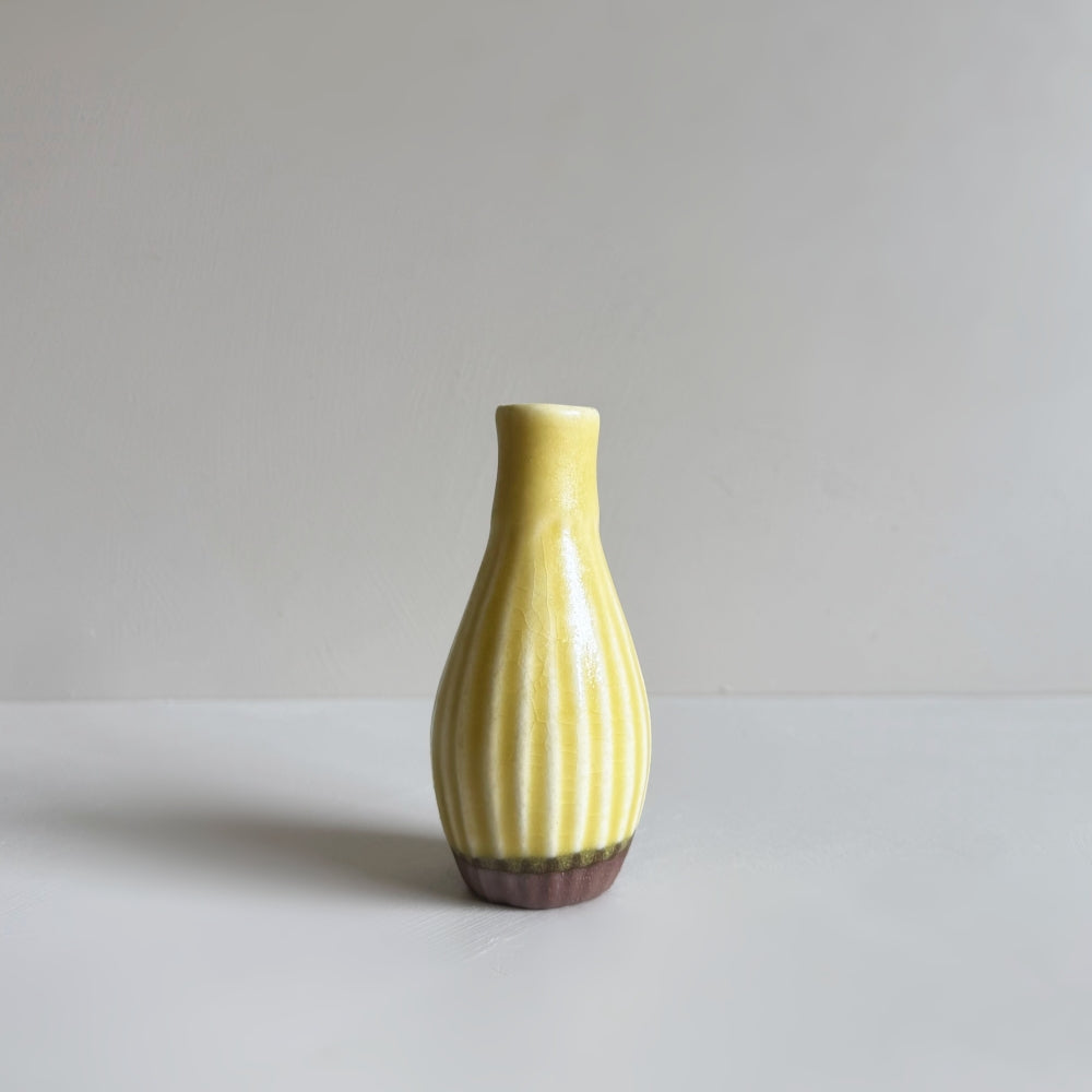 Small Vase & Dried Posy Gift Set - Yuzu no.15